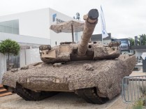 P1930202-leopards-demonstrator